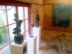 Die Meute, Schnapper, Vogelschwarm